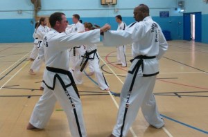 step sparring practice