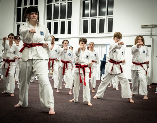 TaeKwon-Do seminar